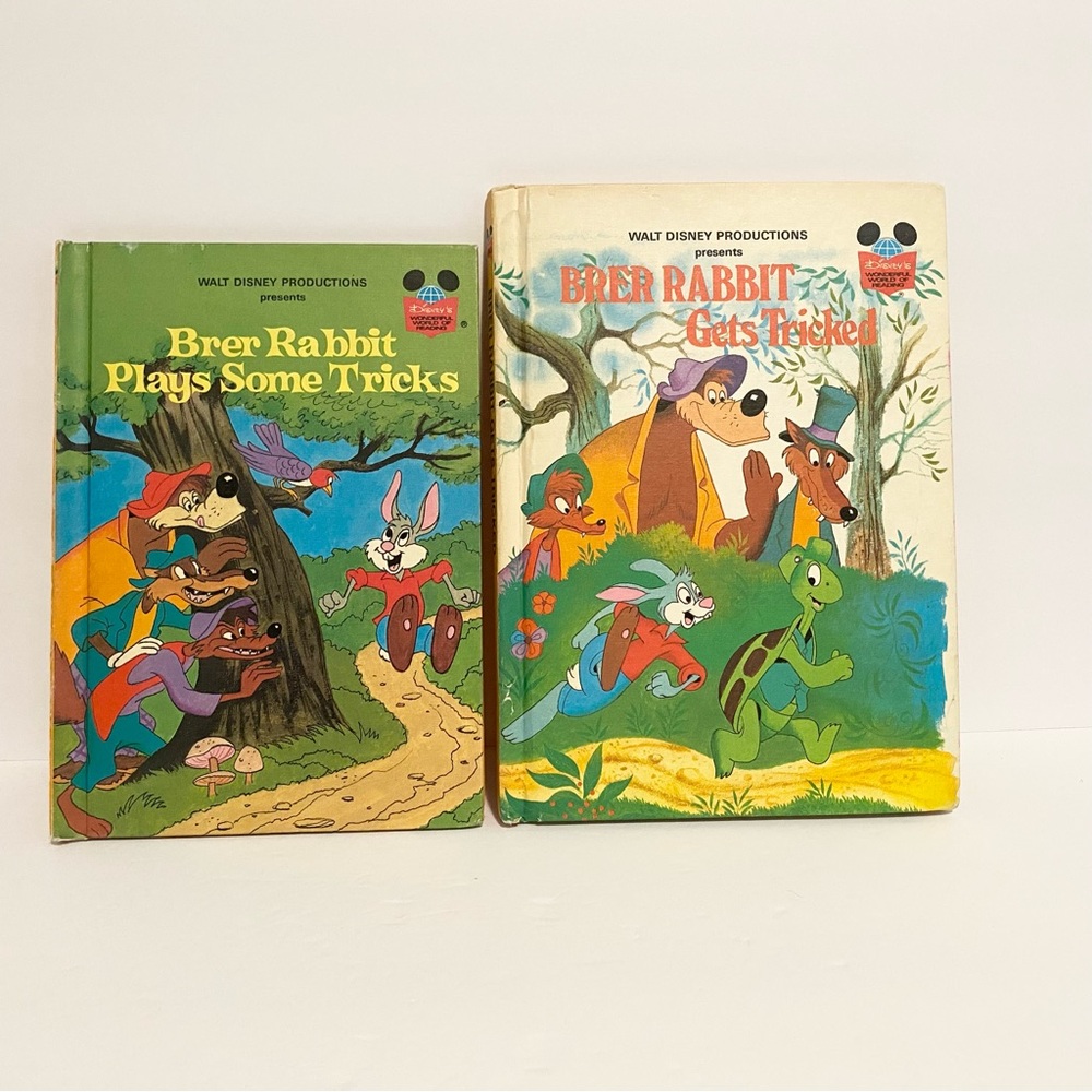 Disney Brer Rabbit Wonderful World of Reading Hardcover Books Splash Mountain